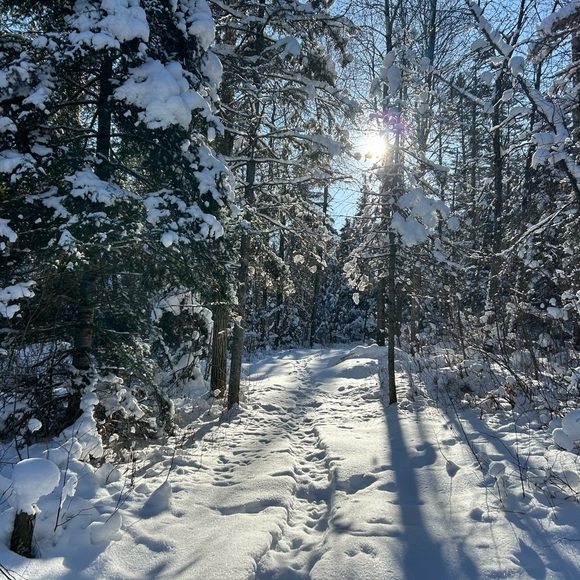 Meet your Posher, Cindy - Picture 1 of 2